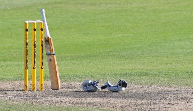 Cricket